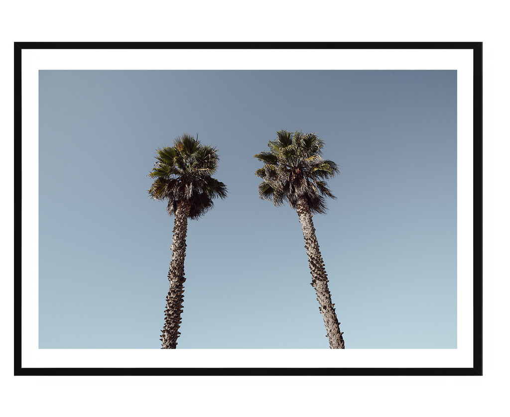 Twin Palms